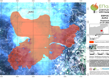 ΕπαΔαΠ: Περισσότερα από 25.000 στρέμματα κάηκαν στη Δαδιά & 17.000 στα Βατερά της Λέσβου