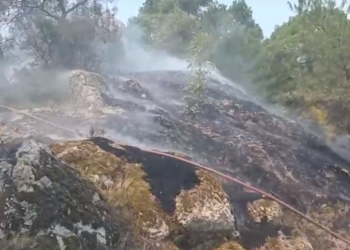 Τέταρτη ημέρα αγωνίας για τη Δαδιά – Τεράστια οικολογική καταστροφή