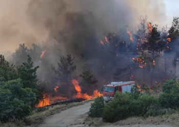 Εκκενώνεται η Δαδία – Κυβερνητικό κλιμάκιο την Κυριακή στον Έβρο