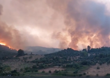 Τρία πύρινα μέτωπα στο Εθνικό Πάρκο Δαδιάς – Η πυρκαγιά απειλεί το Κέντρο Ενημέρωσης της Μονάδας Διαχείρισης