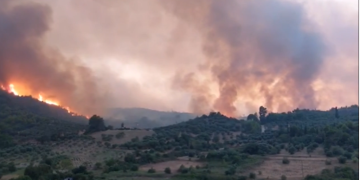 Τρία πύρινα μέτωπα στο Εθνικό Πάρκο Δαδιάς – Η πυρκαγιά απειλεί το Κέντρο Ενημέρωσης της Μονάδας Διαχείρισης