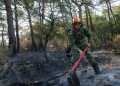Φωτιά στη Δαδιά: Βελτιωμένη η εικόνα σήμερα  [Φωτογραφίες από τις επιχειρήσεις του Στρατού & της Πυροσβεστικής]