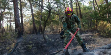 Φωτιά στη Δαδιά: Βελτιωμένη η εικόνα σήμερα  [Φωτογραφίες από τις επιχειρήσεις του Στρατού & της Πυροσβεστικής]