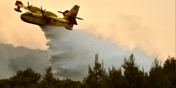 Πυροσβεστική: Υπό έλεγχο είναι η κατάσταση στο δάσος της Δαδιάς