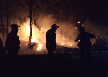 WWF: Οδυνηρή οικολογική καταστροφή στη Δαδιά