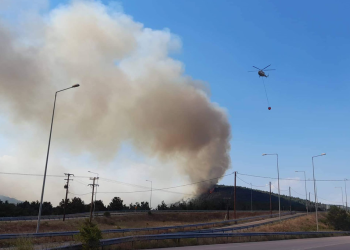 Mάχη με τη φωτιά δίνουν οι πυροσβεστικές δυνάμεις για να σωθεί το εθνικό πάρκο της Δαδιάς