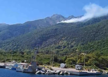 Πυρκαγιά σε δασική έκταση ξέσπασε το πρωί στη Σαμοθράκη