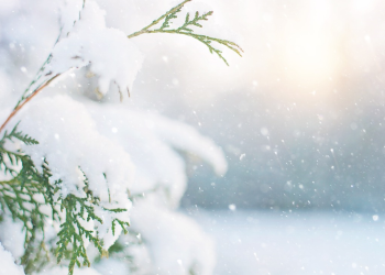 Xιόνια στη Θράκη & στον Έβρο, το επόμενο 24ωρο [Έκτακτο Δελτίο Επικίνδυνων Καιρικών Φαινομένων]