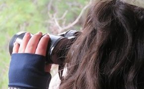 Δράση ευαισθητοποίησης για μαθητές στο Εθνικό Πάρκο Δαδιάς