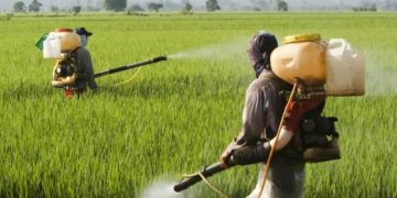 Πρόγραμμα κίνησης συνεργείων στην ΠΕ Έβρου για την καταπολέμηση των κουνουπιών