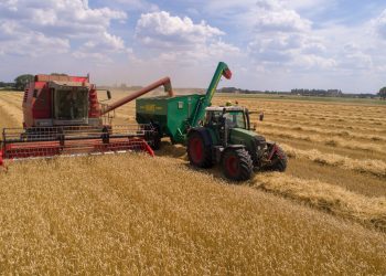 Τις επόμενες εβδομάδες τα αποτελέσματα των Γεωργικών Συμβούλων για όλες τις περιφέρειες της χώρας