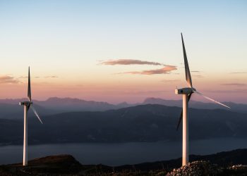 Συγκέντρωση διαμαρτυρίας κατά της εγκατάστασης ανεμογεννητριών στο Δάσος της Δαδιάς