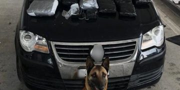 27 κιλά κάνναβης εντοπίστηκαν στο τελωνείο των Κήπων