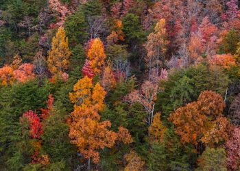 Σε εγρήγορση η Διανομαρχιακή Επιτροπή Ροδόπης – Έβρου κατά του χρυσού