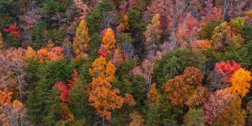 Σε εγρήγορση η Διανομαρχιακή Επιτροπή Ροδόπης – Έβρου κατά του χρυσού