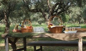 Ρουμάνοι δημοσιογράφοι προβάλλουν την περιοχή μας στην Ρουμανική αγορά