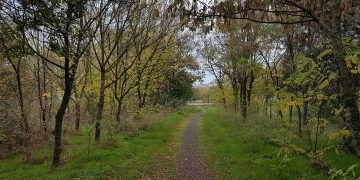 Το δημοτικό άλσος φυτωρίου και το αστικό πράσινο της Αλεξανδρούπολης