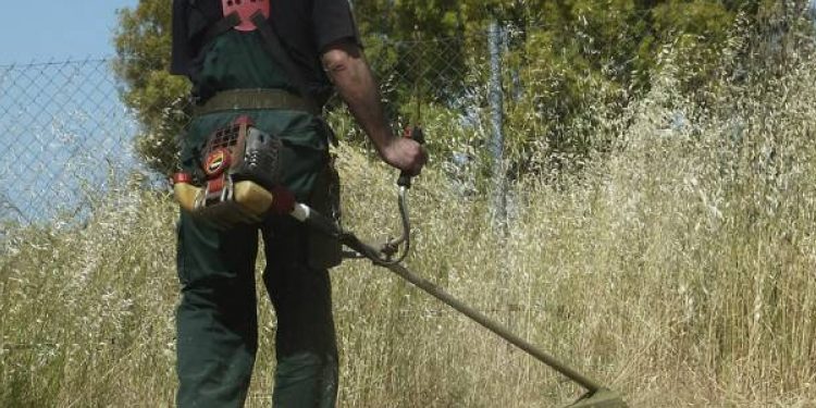 Δήμος Αλεξανδρούπολης: Καθαρισμοί οικοπέδων