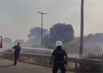 Φωτιά στην Αλεξανδρούπολη: Σε τρία μέτωπα η μάχη με τις φλόγες – “112” για εκκένωση & του Άβαντα [photos]