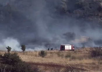 Νέο μέτωπο στο δάσος της Δαδιάς