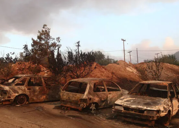 Περιφερειακή Ενότητα Έβρου: Tα μέτρα προφύλαξης κατά τη διάρκεια καθαρισμών μετά από πυρκαγιές