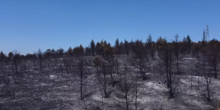 Aς σιγήσουμε για λίγο …