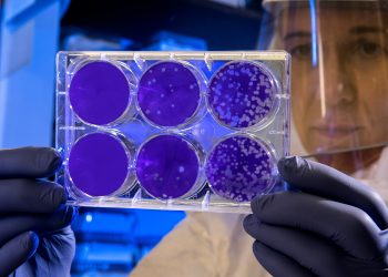 Υγεία: Επιστήμονες αναπτύσσουν χημειοθεραπεία ικανή να σκοτώσει όλους τους συμπαγείς καρκινικούς όγκους