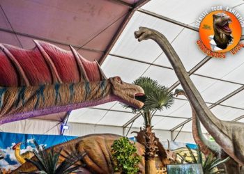 Αλεξανδρούπολη: ‘Εκθεση με ζωντανούς δεινόσαυρους δίπλα στο camping