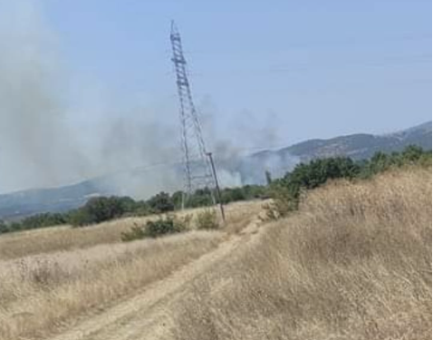 Συμβαίνει τώρα: Υπό μερικό έλεγχο η πυρκαγιά στο Αρδάνιο Έβρου
