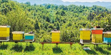 Και φέτος η γιορτή Μελισσοκόμων και Οικοτεχνών Έβρου στην Αλεξανδρούπολη