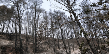 Nεκροί 18 μετανάστες νότια του Άβαντα