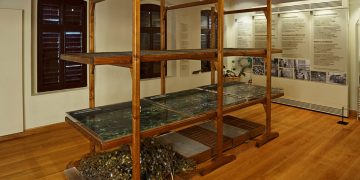 Σουφλί: Ο ελκυστικός κόσμος της Γκέϊσας