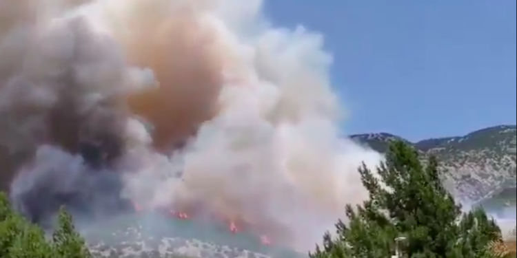 Υψηλός κίνδυνος πυρκαγιάς για τις δασικές περιοχές Αλεξανδρούπολης, Σαμοθράκης & Σουφλίου