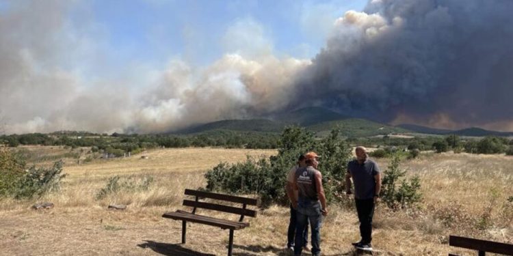 Φωτιά στην Αλεξανδρούπολη – Προληπτική εκκένωση των χωριών Νίψα, Αετοχώρι & Πεύκα [photos]