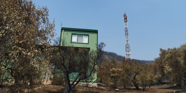 Πλιάτσικο στις καμένες περιοχές πέριξ της Αλεξανδρούπολης