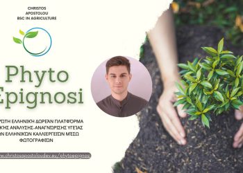 PhytoEpignosi: Η πρώτη ελληνική δωρεάν πλατφόρμα που οι αγρότες μπορούν να ελέγξουν την τυπική υγεία των καλλιεργειών τους