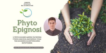 PhytoEpignosi: Η πρώτη ελληνική δωρεάν πλατφόρμα που οι αγρότες μπορούν να ελέγξουν την τυπική υγεία των καλλιεργειών τους