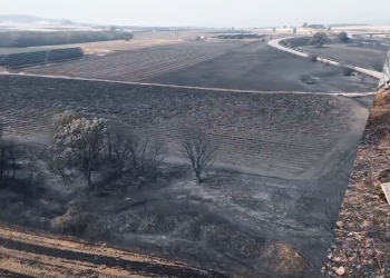 Ανακοινώθηκαν μέτρα ανακούφισης για τους πυρόπληκτους του Έβρου