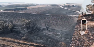 Ανακοινώθηκαν μέτρα ανακούφισης για τους πυρόπληκτους του Έβρου