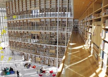 Κομοτηνή: Πρωτοβουλία ΔΠΘ για την άμβλυνση των επιπτώσεων των πυρκαγιών στη Θράκη