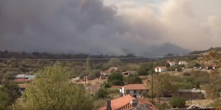 Πυροσβεστική: Σε ύφεση η πυρκαγιά στον Έβρο