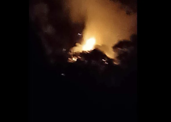 Πυρκαγιά σε δασική έκταση στη Σαμοθράκη