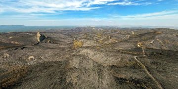 Αναστέλλεται προσωρινά η εγκατάσταση αιολικών στα καμένα του Έβρου