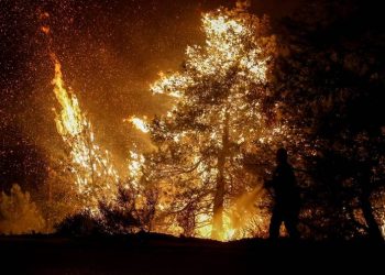 Η Συντονιστική Επιτροπή της Ολομέλειας δίπλα στους κατοίκους του Έβρου και της Ροδόπης