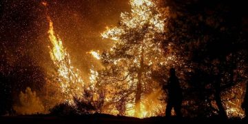 Η Συντονιστική Επιτροπή της Ολομέλειας δίπλα στους κατοίκους του Έβρου και της Ροδόπης