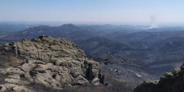 Έλληνες φοιτητές δημιούργησαν τζελ που αναγεννά καμμένες εκτάσεις