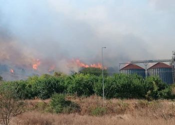 Έβρος: Οριοθετήθηκε η πυρκαγιά στα Λάβαρα