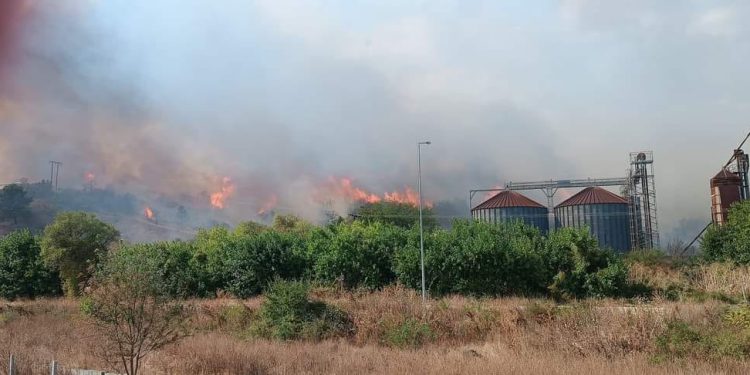Έβρος: Οριοθετήθηκε η πυρκαγιά στα Λάβαρα