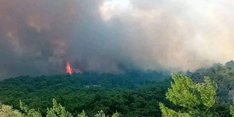 Έβρος: Μήνυμα 112 για εκκένωση της Λευκίμης