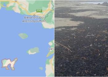Αποκαΐδια από τα καμένα του Έβρου ξεβράστηκαν στη Λήμνο